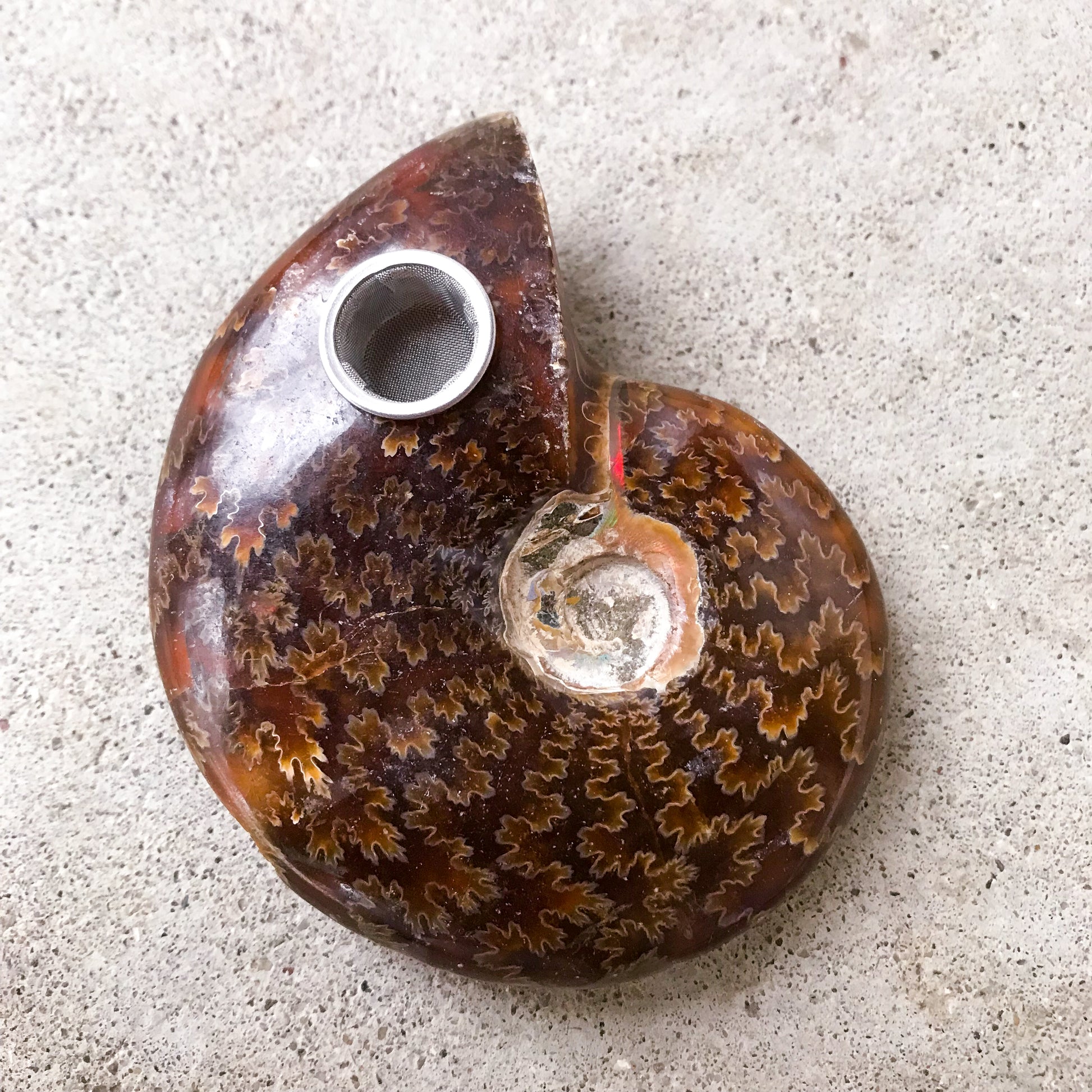 Ammonite Fossil Pipe - Ethereal Haze